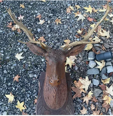 Trophée sculpté, tête de cerf